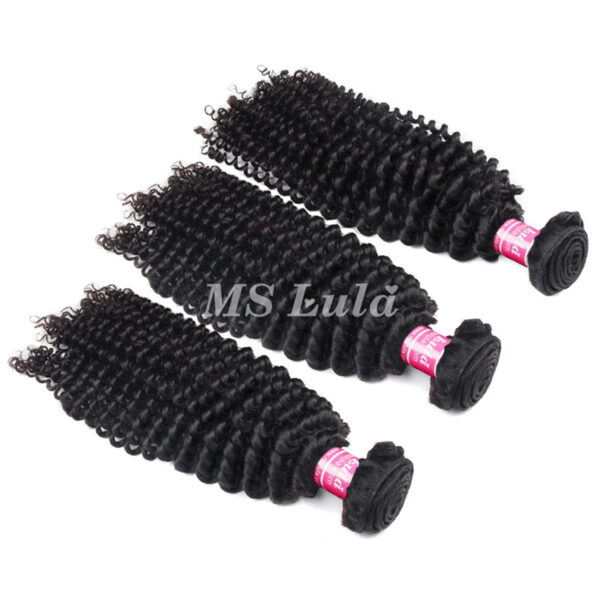 Virgin Hair Weave Bundles Kinky Curly - Image 3